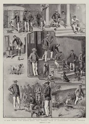 エンフィールドのクレイズモア学校のケンネルクラブ、学校の男の子のための新しい趣味