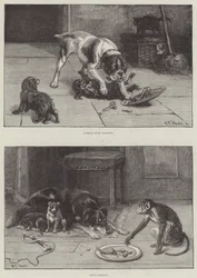 犬と食べ物