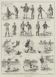 ポインター、指名手配