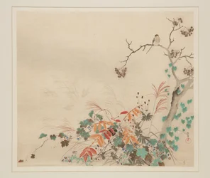 植物の上の鷹（カラー木版画