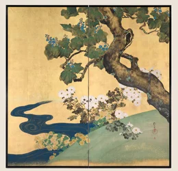 桐と菊、2つ折りスクリーン、1700年代後半から1800年代初頭（金色の紙にインクと色）