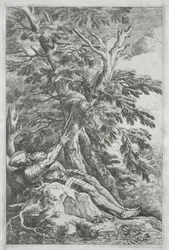 聖ウィリアム隠者、c。 1662。