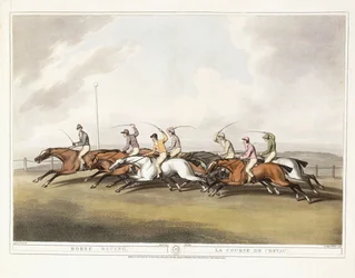 競馬