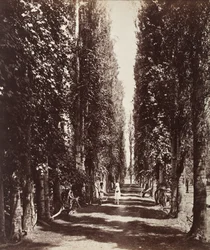 インド