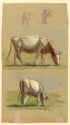 素描、牛、2頭の放牧牛と子牛の背中、1875-80年