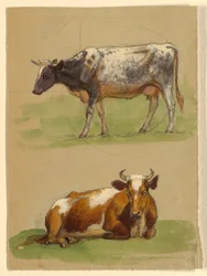 素描、牛、歩く牛としゃがむ牛、1875-80年
