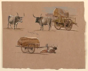 デッサン、牛車、ローマ、イタリア、1873年1月