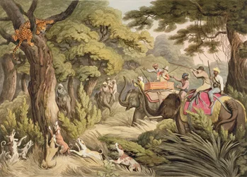 オリエンタルフィールドスポーツ、パブからのヒョウを撮影します。 Edward Orme、1807（印刷）