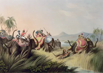 タイガーアットベイ、オリエンタルフィールドスポーツのパブ。 Edward Orme、1807（印刷）