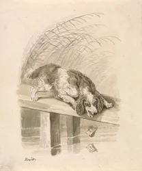 The Dog and The Shadow   1442452   ja       japanese Successfully Translated  Original: Cranes, Bamboo and Pine, Edo Period (ink & aqueous colours on silk) Translat: Cranes, Bamboo and Pine, Edo Period (ink & aqueous colours on silk) 1454135 ja japanese Su