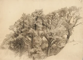 木のある風景、1884年（バフレイド紙に木炭）