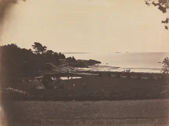 風景、プライドの交差点、カリフォルニア州。 1856年。