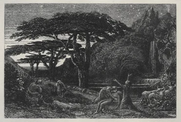 サイプレスグローブ、1883年。
