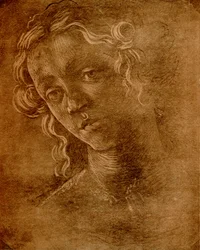 女性の頭