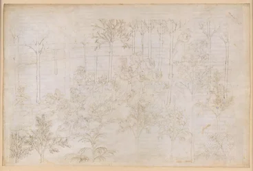 『神曲』、煉獄篇第33歌。地上の楽園：美徳の輪の中にいるベアトリーチェ；出発；エウノーエ川でのダンテの入浴