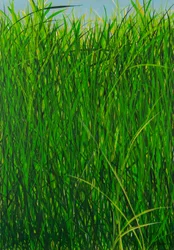 夏草、2020年（キャンバスにアクリル画）