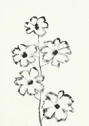 木炭による花のスケッチ