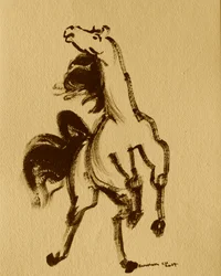 馬 24