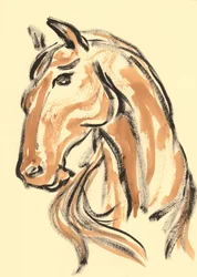 威厳ある馬の横顔