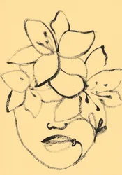ミニマリストの花の顔