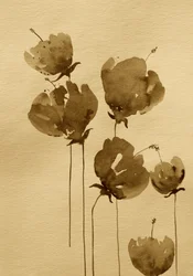 セピアの水彩花画