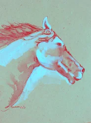 生き生きとした馬の頭