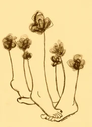 風変わりな足の花