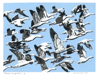 エッシャーのインスピレーション、2017年（リノカット）