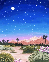 砂漠の星降る夜