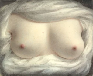 明かされた美、1828年