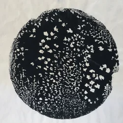 ただ黒、2020年