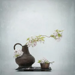 桜の花の静物画
