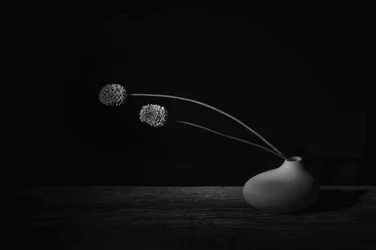 優雅な花の静物画