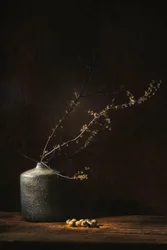 ムーディな植物の静物画