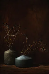 陰影のある植物画の花瓶