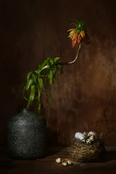 陰鬱な花の巣