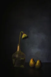 陰影のあるハスと梨