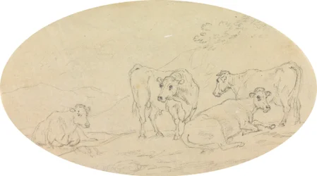 Quatro vacas em um campo