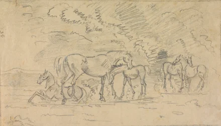 Cavalos em um prado