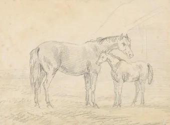 馬と子馬
