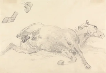 Study of a horse lying down   1445835   ja       japanese Successfully Translated  Original: Fourmi noire gate bois - Carpenter ant (Camponotus pennsylvanicus) Translat: Fourmi noire gate bois - Carpenter ant (Camponotus pennsylvanicus) 1439361 ja japanese
