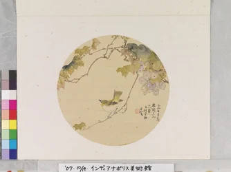 葡萄の枝の上の鳥