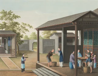 紅茶の製造風景、1820年頃（絹本、ボディカラー、金彩、紙）