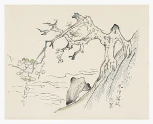 天竹シリーズ