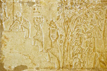 古代エジプト、壁面彫刻、ペトシリスの墓、ツナ・エル・ゲベル、紀元前300年、ワイン搾り機にブドウを運ぶ（写真）