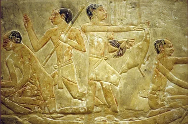 古代エジプト、壁の彫刻／絵画、イドゥートのマスタバ／墓、サッカラ／サッカラ、沼地で鳥を捕らえる、第6王朝（写真）