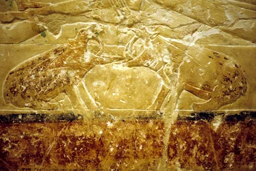 古代エジプト、壁面彫刻／絵画、イドウトのマスタバ／墓、サッカラ、第6王朝、闘う2頭のカバ（写真）