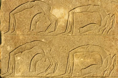 ルクソール、カルナック神殿、古代エジプト、壁画／彫刻、女性曲芸師（写真）