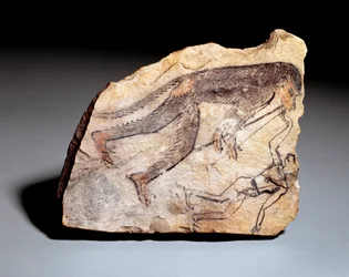 オストラコン図：猿が二重笛（アウロス）を吹いて男を踊らせる。デイル・エル・メディネ遺跡（石灰岩、約1295～1186年）より