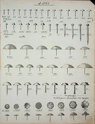 釘、鋲、ピン、家庭用品と付属品のトレードカタログより、1890年から1910年頃（リトグラフ）